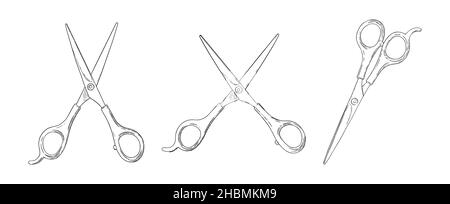 Set di forbici. Cesoia per parrucchieri. Illustrazione vettoriale isolata su sfondo bianco Illustrazione Vettoriale