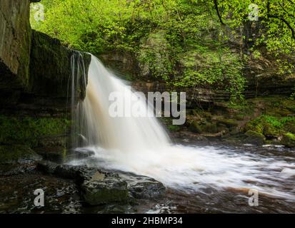 Vista estiva di Cauldron Force, una cascata a West Burton nel Parco Nazionale Yorkshire Dales Foto Stock