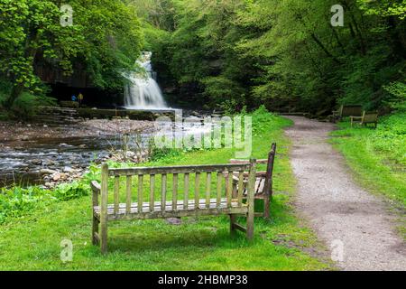 Vista estiva di due posti a sedere con una vista di Walden Beck e Cauldron Force a West Burton nel Yorkshire Dales Foto Stock