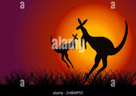 Kangaroo al tramonto. Due silhouette di canguro su sfondo arancione sole. Natura dell'Australia. Banner Australia Day con spazio di copia.illustrazione vettoriale Illustrazione Vettoriale