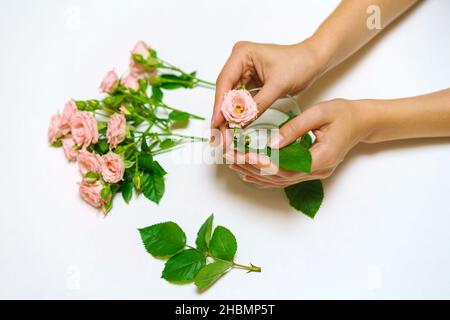 Primo piano della mano del fiorista donna che fa il bouquet delle rose rosa su un tavolo leggero. Bel bouquet carino per le vacanze delle donne. Il concetto del lavoro del fioraio nel negozio. Foto Stock