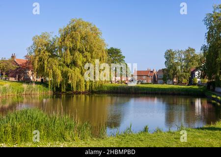 Vista estiva del laghetto villaggio ad Askham Richard nel North Yorkshire Foto Stock