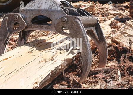 Grande caricatore di tronchi e le operazioni nel deposito di tronchi ad un mulino di tronchi di conifera. Legna da ardere tagliato tronchi di tronco di albero impilati preparati. Albero di raccolta. Foto Stock