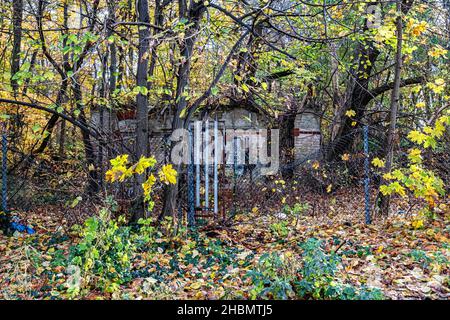 La zona boschiva vicino alla stazione della S-Bahn di Schönholz ospita un pezzo dell'ex muro di Berlino a Pankow, Berlino. Si tratta di un monumento elencato e recintato per proteggerlo Foto Stock