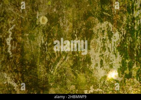 Pareti di cemento ricoperte di muschio verde, giallastro e marrone sono usate per lo sfondo Foto Stock