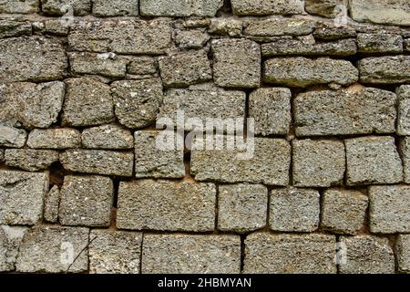 Parete di roccia della conchiglia, sfondo di pietra da vicino Foto Stock