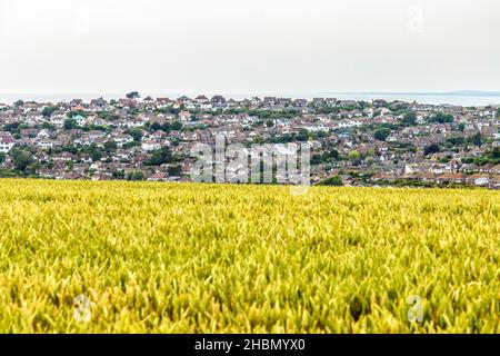 Vista delle case nella città balneare di Saltdean, East Sussex, Regno Unito Foto Stock