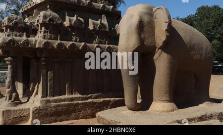 Scultura in pietra di un elefante scolpito in un'unica roccia. Nel mezzo della roccia e della natura. Foto Stock