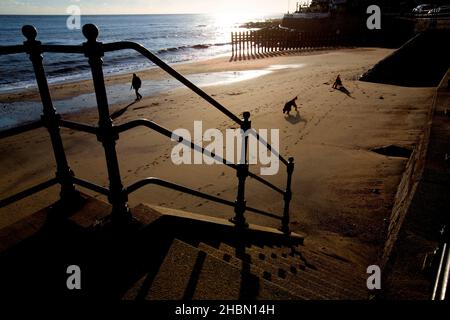 Donna,a piedi,cane,cani, sulla, Spiaggia,Inverno,Autunno,Ventnor,Isola di Wight,Inghilterra,Gran Bretagna,Gran Bretagna,UK, Foto Stock