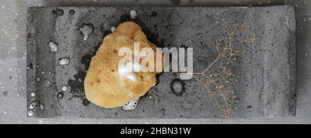 Spugna marina organica con schiuma di sapone su vassoio di cemento grigio. Accessori da bagno in bagno contemporaneo. Cura giornaliera del corpo, spa e wellness zer Foto Stock