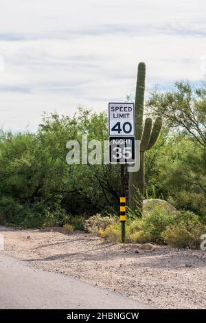 I segnali per il limite di velocità diurno e notturno con cactus sul lato della strada in Arizona Foto Stock