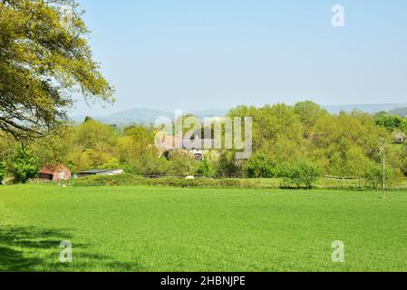 Dorset campagna a Fiddleford, vicino Sturminster Newton, Dorset Foto Stock