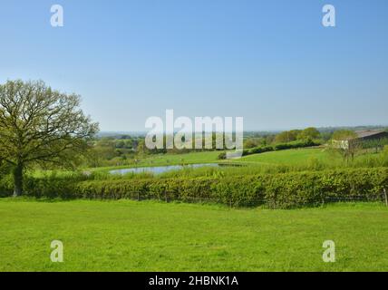 Dorset campagna vicino Sturminster Newton, Dorset Foto Stock