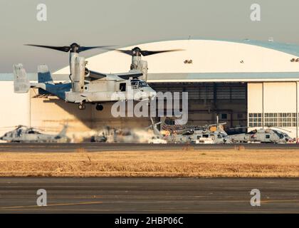 211215-N-DM318-1125 NAVAL AIR FACILITY ATSUGI, Giappone (15 dicembre 2021) un MV-22 Osprey delle “Tigri volanti” del Marine Tiltrotor Squadron 262, si alza dalla Naval Air Facility (NAF) Atsugi. I Flying Tigers stanno conducendo un addestramento bilaterale con le forze di Self Defense Marittime del Giappone a NAF Atsugi come parte dell'esercizio Resolute Dragon 2021. (STATI UNITI Foto Navy di Mass Communication Specialist 2nd Classe Ange Olivier Clement) Foto Stock