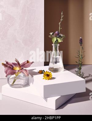 Fiori raccolti dal giardino della mamma ancora vita Foto Stock