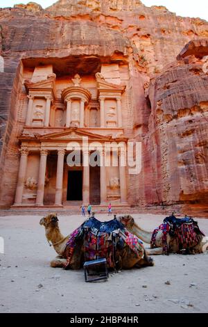 Un colpo verticale di cammelli che riposa di fronte al al Khazneh a Petra Wadi, Giordania Foto Stock