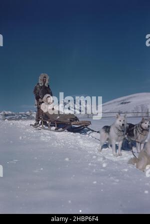 Uomo che cammina dietro una donna seduta in slitta di cane in inverno Foto Stock