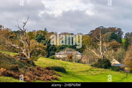 Panorama dall'alto verso il basso su Ugbrooke House e Giardini da un drone nei colori di Autunno, Exeter, Devon, Inghilterra, Europa Foto Stock