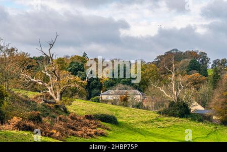 Panorama dall'alto verso il basso su Ugbrooke House e Giardini da un drone nei colori di Autunno, Exeter, Devon, Inghilterra, Europa Foto Stock