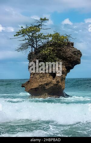 Splendidi paesaggi e paesaggi marini a Gandoca-Manzanillo Wildlife Refuge, Costa Rica Foto Stock