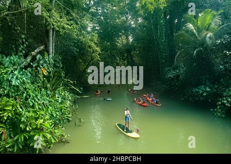 Kayak e standup pagaiare nella giungla, Puerto Viejo, Costa Rica Foto Stock