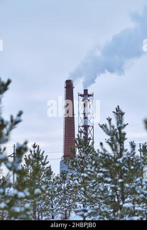 Due camini industriali che fumano con fumo sullo sfondo pineta invernale Foto Stock