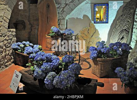 Mostra Tiempo de Flores-2017 presso la casa Laporta di Gerona, Catalogna, Spagna Foto Stock