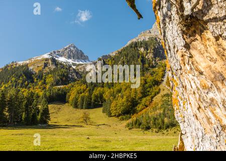 Hinterriss und Engalm Foto Stock