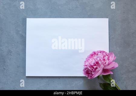 foglio di carta bianca per testo su sfondo grigio con fiore di peonia. Foto Stock