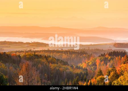 Herbstlicher Sonnenaufgang mit Nebelschwaden über dem hügeligen Mittelland, Schweizer Alpen im Hintergrund, Aussicht von Höchenschwand im Schwarzwald, Foto Stock