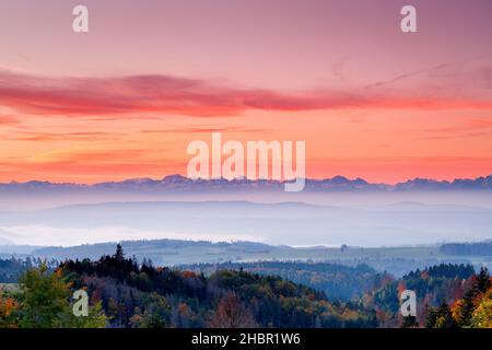 Herbstlicher Sonnenaufgang mit Nebelschwaden über dem hügeligen Mittelland, Schweizer Alpen im Hintergrund, Aussicht von Höchenschwand im Schwarzwald, Foto Stock