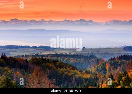 Herbstlicher Sonnenaufgang mit Nebelschwaden über dem hügeligen Mittelland, Schweizer Alpen im Hintergund, Aussicht von Höchenschwand im Schwarzwald, Foto Stock