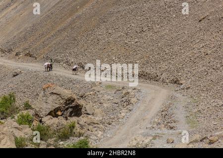 HAFT KUL, TAGIKISTAN - 11 MAGGIO 2018: Vecchio uomo con asini in zaino a Marguzor Haft Kul nelle montagne di Fann, in Tagikistan Foto Stock