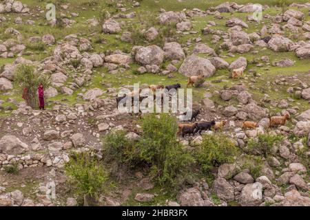 HAFT KUL, TAGIKISTAN - 11 MAGGIO 2018: Bambini piccoli con capre a Marguzor Haft Kul, nelle montagne di Fann, in Tagikistan Foto Stock