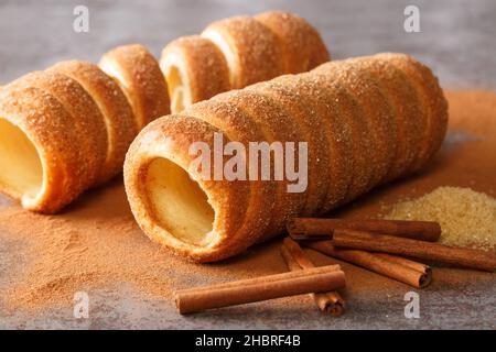 Trdelnik è una dolce tradizionale a base di pasta di lievito tenuta intorno a un bastone, poi fritto e cosparso di zucchero e cannella in primo piano sul tavolo Foto Stock