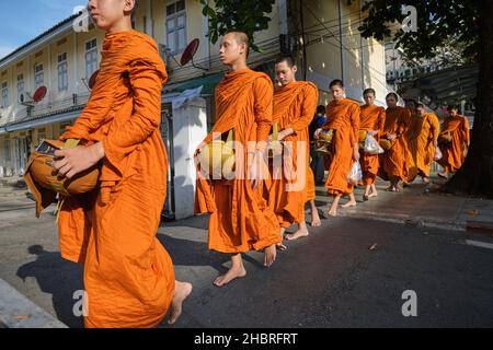 Il debuttante monaci o Samanen di Wat Mahathat in Bangkok, Thailandia, durante la mattina presto alms round nel tempio della prossimità Foto Stock