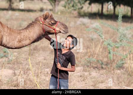 Pali Rajasthan , India -30 ottobre 2021. Primo piano del ragazzino contadino di Camel che tiene il cammello con una corda, Rajasthan Foto Stock