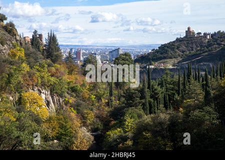 Parco botanico e paesaggio urbano di Tbilisi Foto Stock
