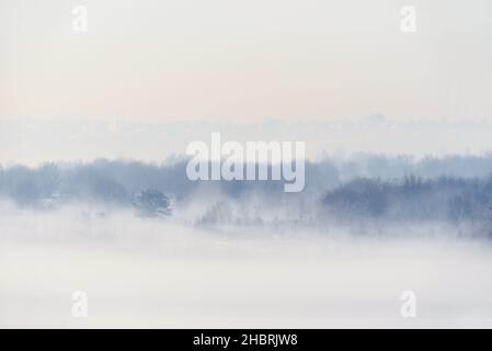 Contorni di alberi nella nebbia strisciando. Paesaggio invernale Foto Stock