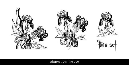 Un insieme di fiori isolati di iride sono disegnati graficamente con l'iscrizione Flora set. Illustrazione Vettoriale