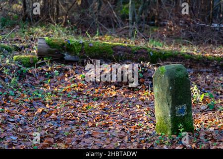 vecchio punto di riferimento cresciuto di muschio Foto Stock
