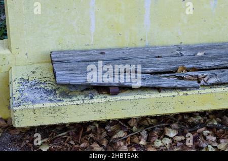 Panca in calcestruzzo giallo rovinato con sedile in legno rotto (Pesaro, Italia, Europa) Foto Stock