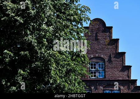 Casa in stile olandese con un albero a Friedrichstadt Foto Stock