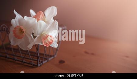 naffodils sul tavolo al sole Foto Stock