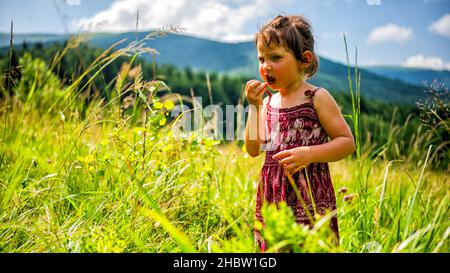 Una giovane ragazza sta raccogliendo e mangiando more nel prato di montagna. Foto Stock