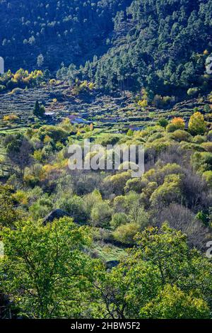 Valle del ghiacciaio del fiume Zezere in autunno. Manteigas, Parco Naturale Serra da Estrela. Portogallo Foto Stock