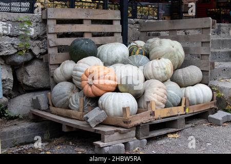 Zucche giganti in vendita in un mercato, Ispir - Turchia. Mercato del villaggio Foto Stock