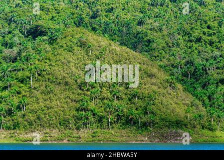 Riserva naturale di Hanabanilla, Villa Clara, Cuba Foto Stock
