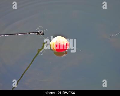 Upper Saddle River - 01-MAY- Annual Fishing Derby - 64151 -[Concept] FOTO di JIM DELILLO Foto Stock