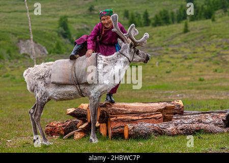 Comunità Turca di mandrie di renne semi-nomadi che vivono nella provincia più settentrionale della Mongolia Foto Stock